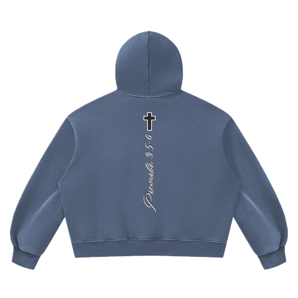 PV Hoodie