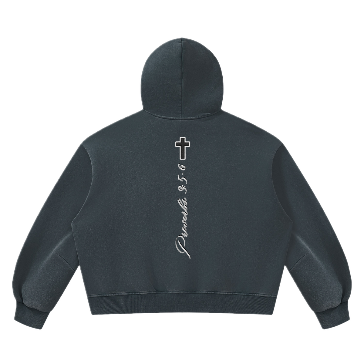 PV Hoodie