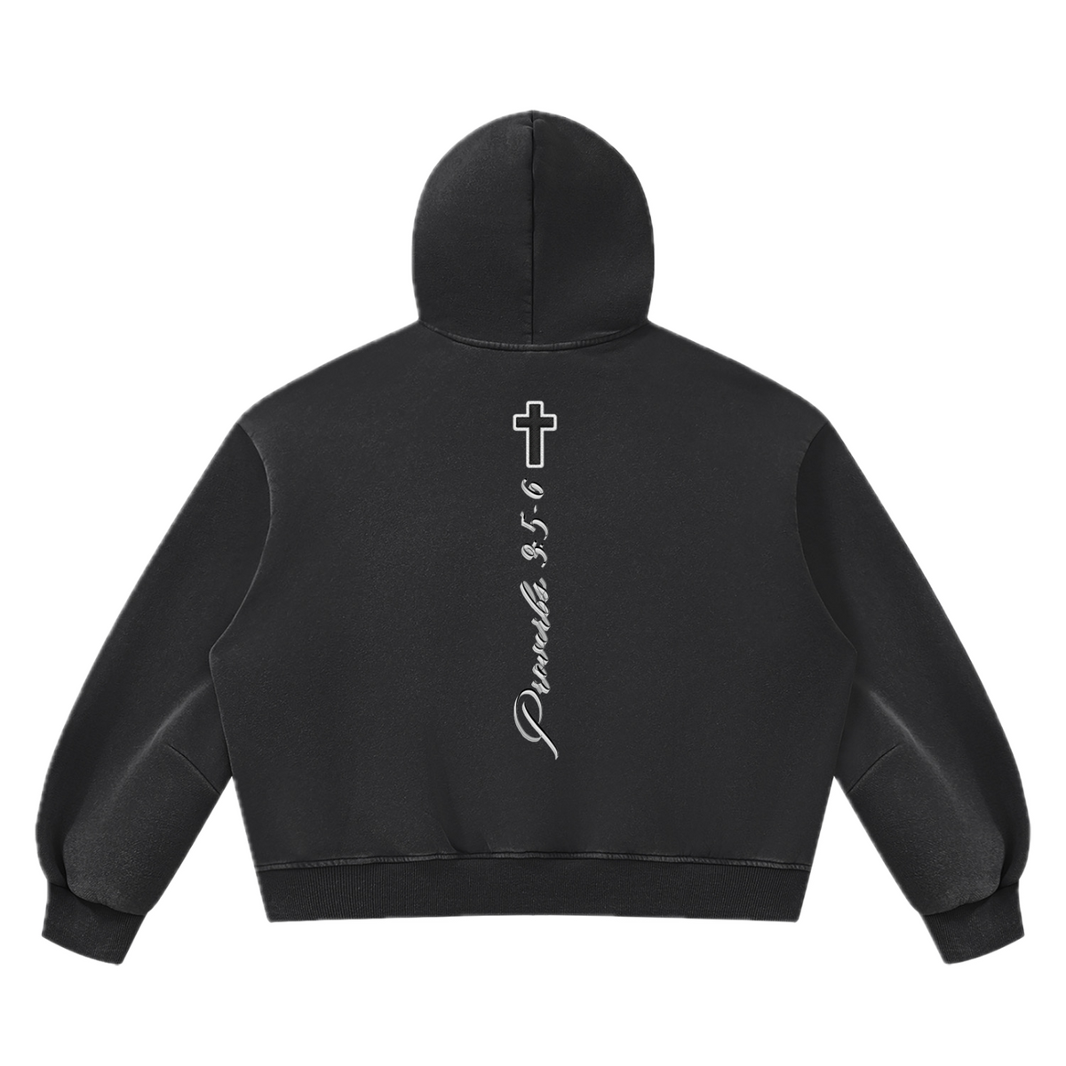 PV Hoodie