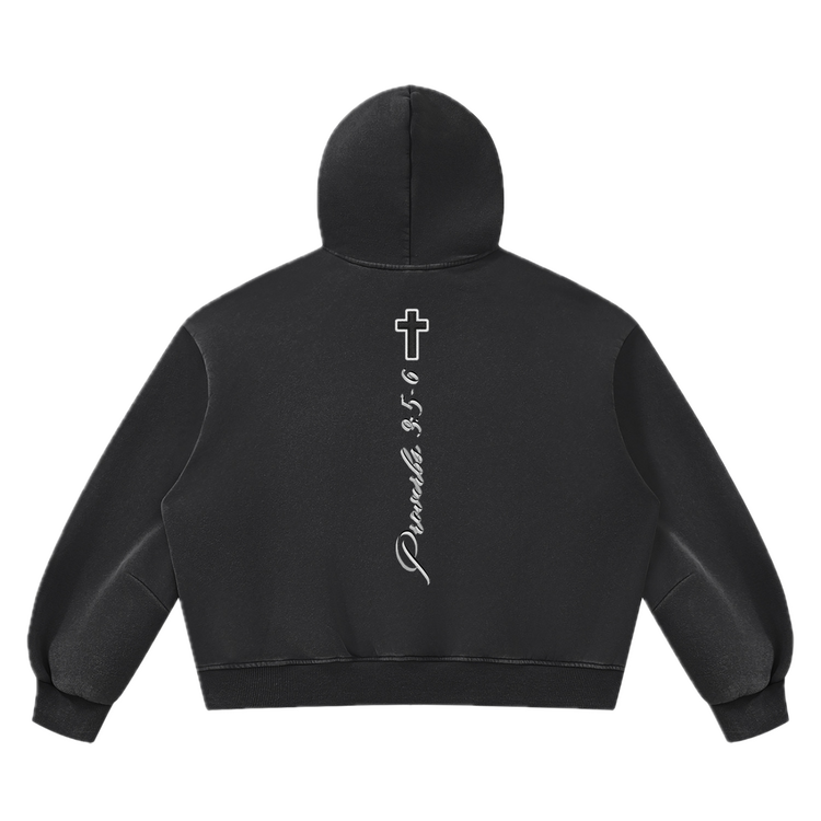 PV Hoodie