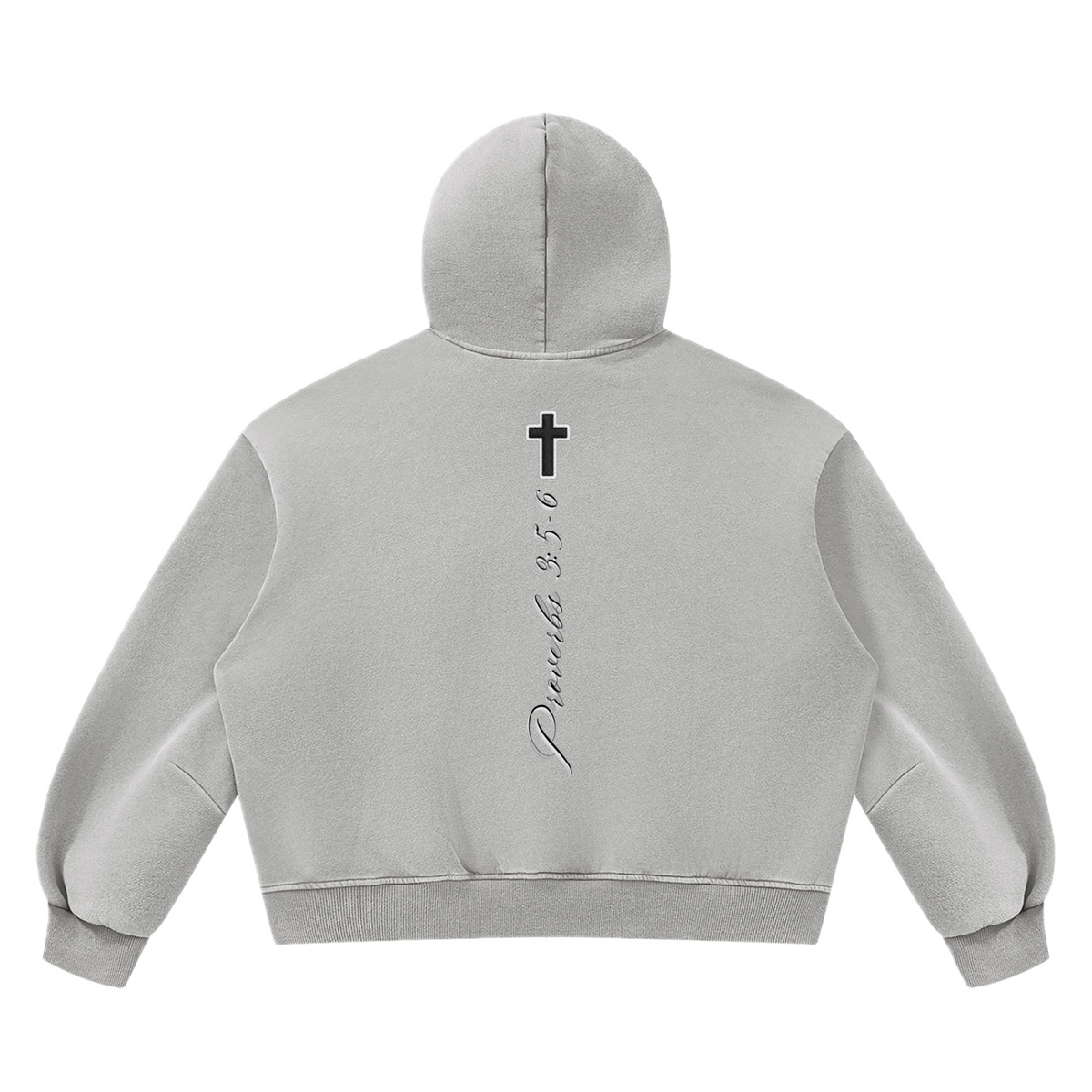 PV Hoodie