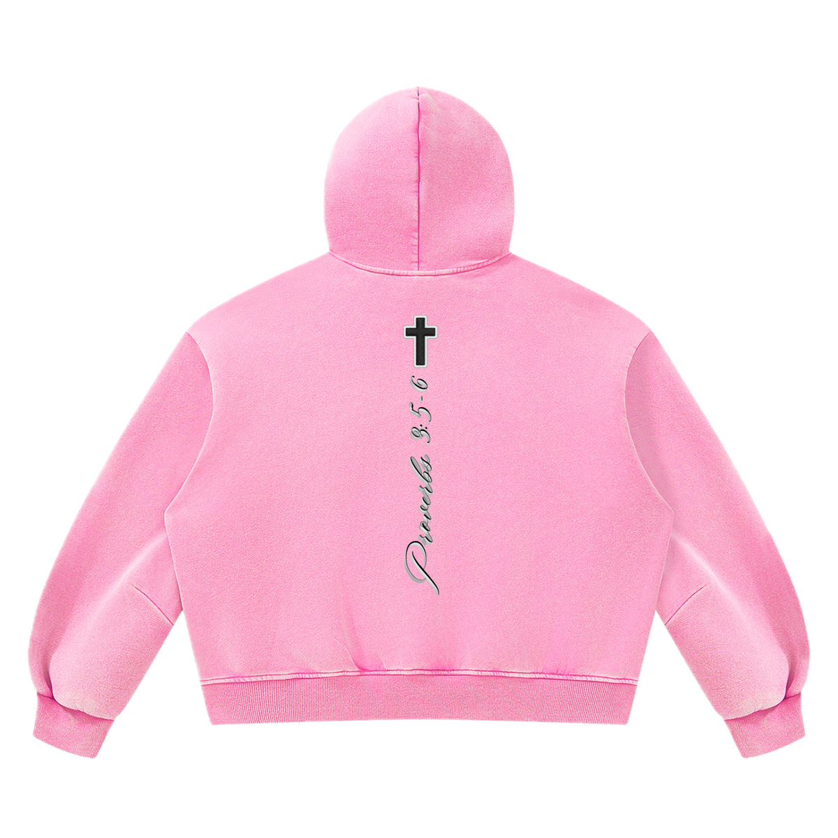 PV Hoodie