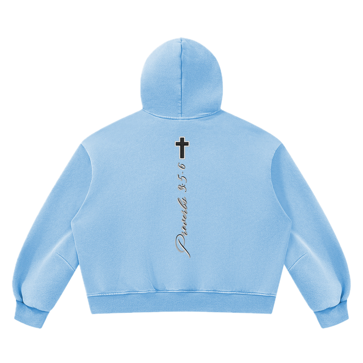 PV Hoodie